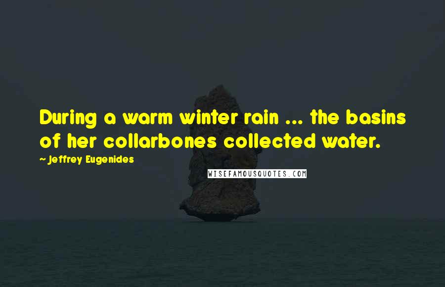 Jeffrey Eugenides Quotes: During a warm winter rain ... the basins of her collarbones collected water.