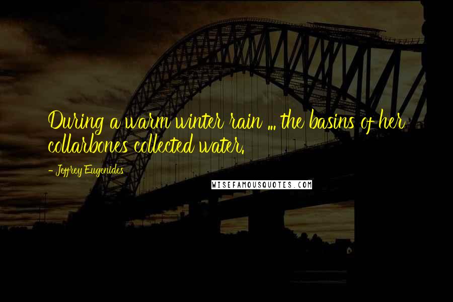 Jeffrey Eugenides Quotes: During a warm winter rain ... the basins of her collarbones collected water.