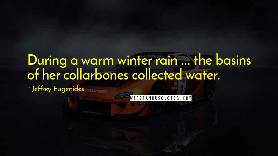 Jeffrey Eugenides Quotes: During a warm winter rain ... the basins of her collarbones collected water.