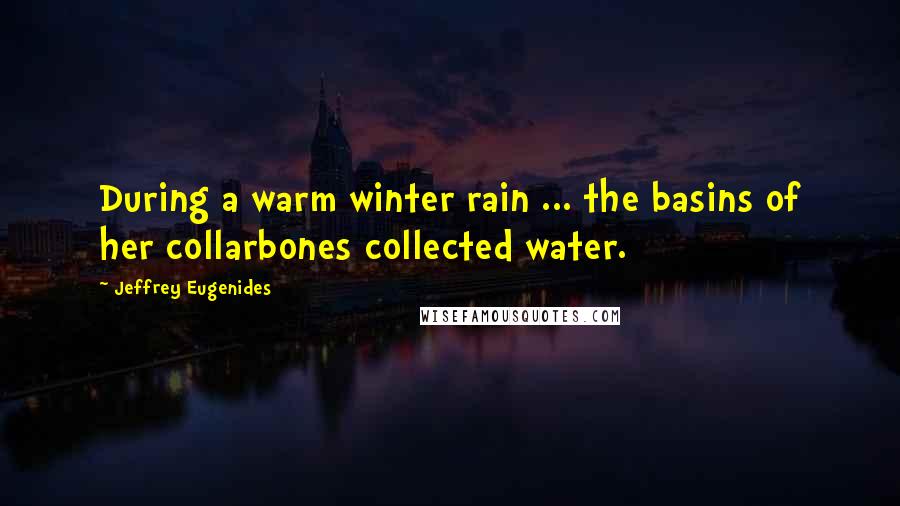 Jeffrey Eugenides Quotes: During a warm winter rain ... the basins of her collarbones collected water.