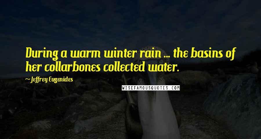 Jeffrey Eugenides Quotes: During a warm winter rain ... the basins of her collarbones collected water.