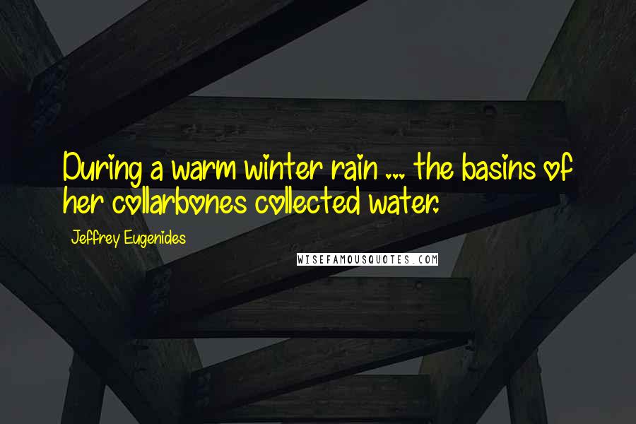 Jeffrey Eugenides Quotes: During a warm winter rain ... the basins of her collarbones collected water.