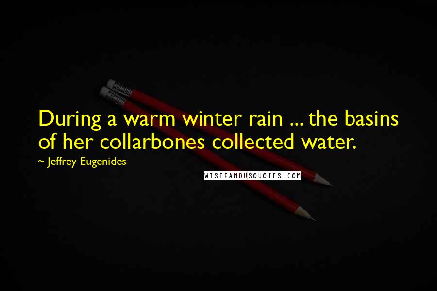 Jeffrey Eugenides Quotes: During a warm winter rain ... the basins of her collarbones collected water.