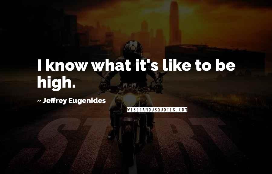 Jeffrey Eugenides Quotes: I know what it's like to be high.