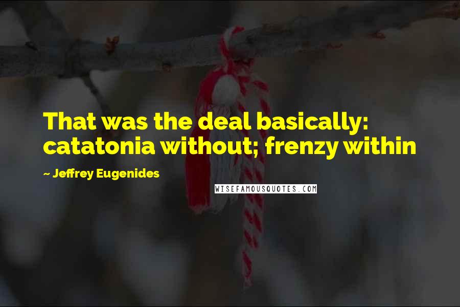 Jeffrey Eugenides Quotes: That was the deal basically: catatonia without; frenzy within
