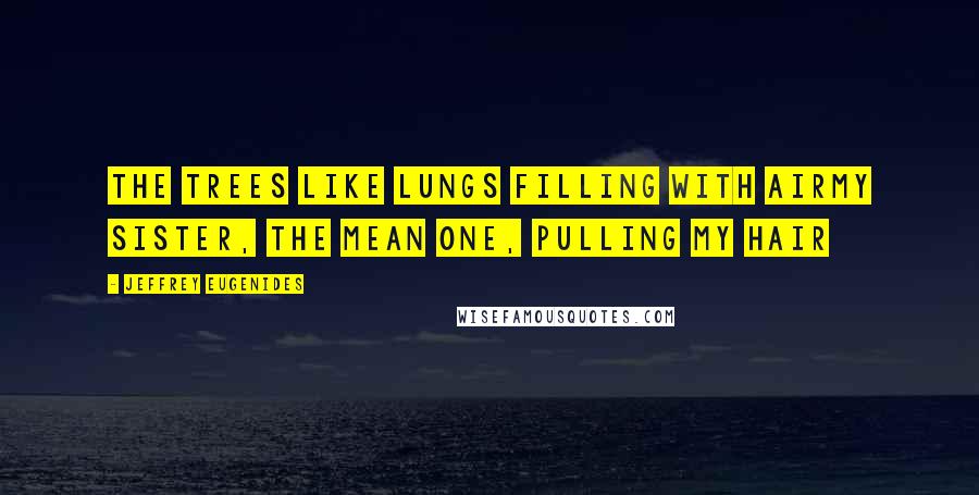 Jeffrey Eugenides Quotes: The trees like lungs filling with airMy sister, the mean one, pulling my hair