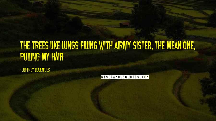 Jeffrey Eugenides Quotes: The trees like lungs filling with airMy sister, the mean one, pulling my hair