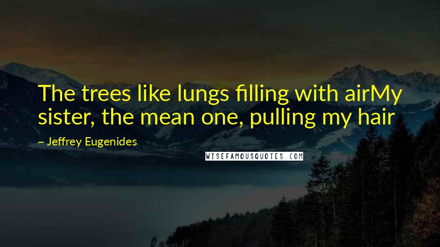Jeffrey Eugenides Quotes: The trees like lungs filling with airMy sister, the mean one, pulling my hair