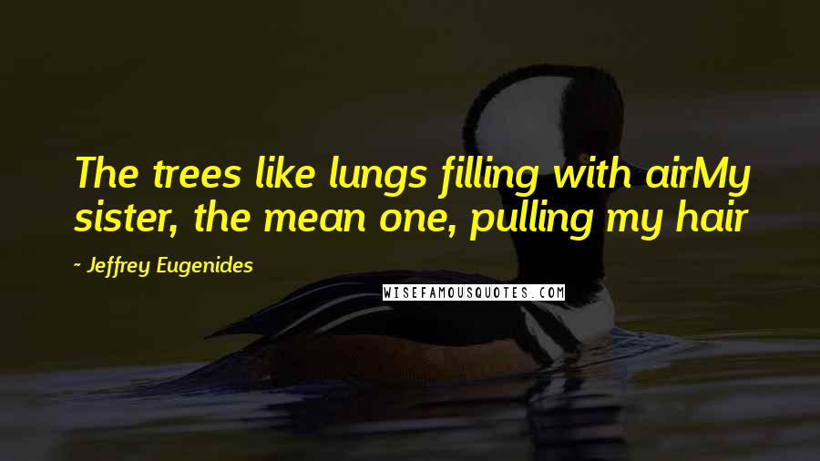 Jeffrey Eugenides Quotes: The trees like lungs filling with airMy sister, the mean one, pulling my hair