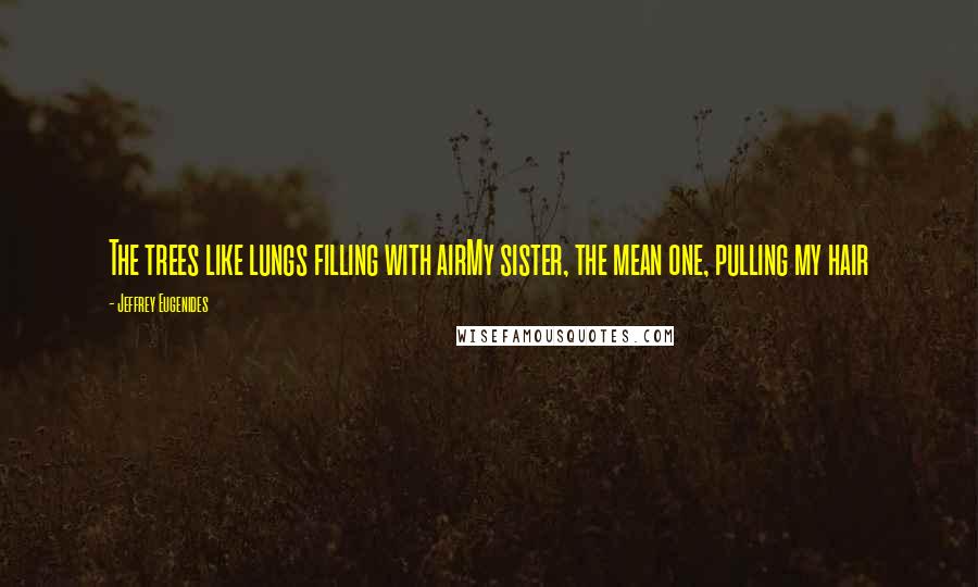 Jeffrey Eugenides Quotes: The trees like lungs filling with airMy sister, the mean one, pulling my hair