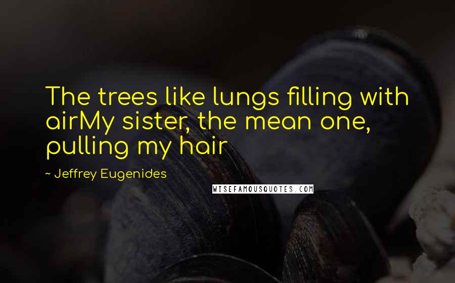 Jeffrey Eugenides Quotes: The trees like lungs filling with airMy sister, the mean one, pulling my hair
