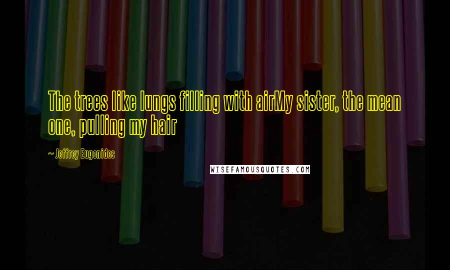 Jeffrey Eugenides Quotes: The trees like lungs filling with airMy sister, the mean one, pulling my hair