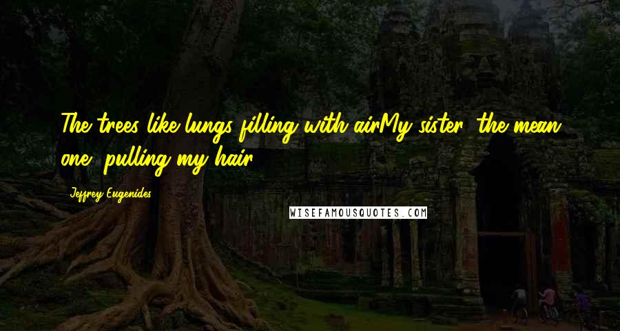 Jeffrey Eugenides Quotes: The trees like lungs filling with airMy sister, the mean one, pulling my hair