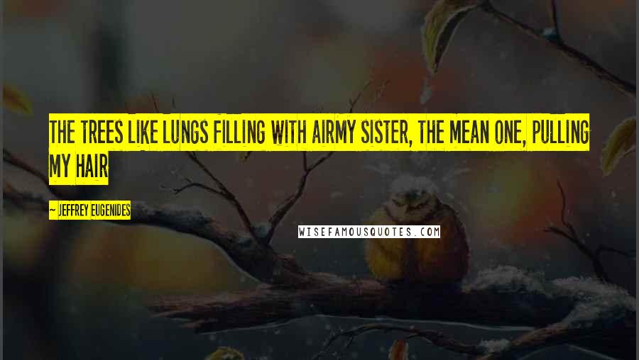 Jeffrey Eugenides Quotes: The trees like lungs filling with airMy sister, the mean one, pulling my hair