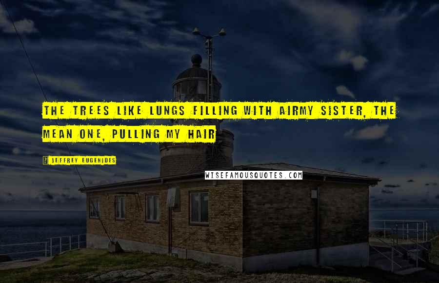 Jeffrey Eugenides Quotes: The trees like lungs filling with airMy sister, the mean one, pulling my hair