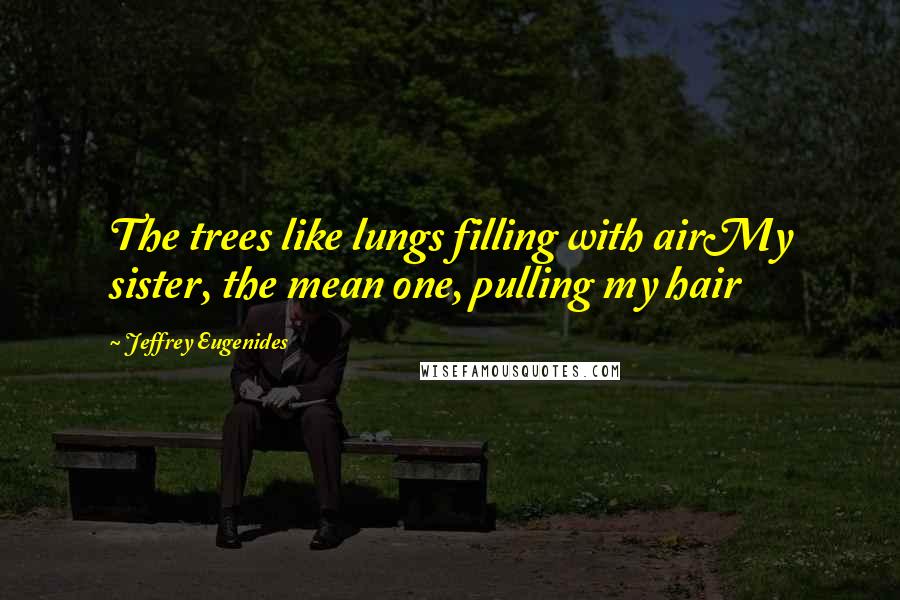 Jeffrey Eugenides Quotes: The trees like lungs filling with airMy sister, the mean one, pulling my hair