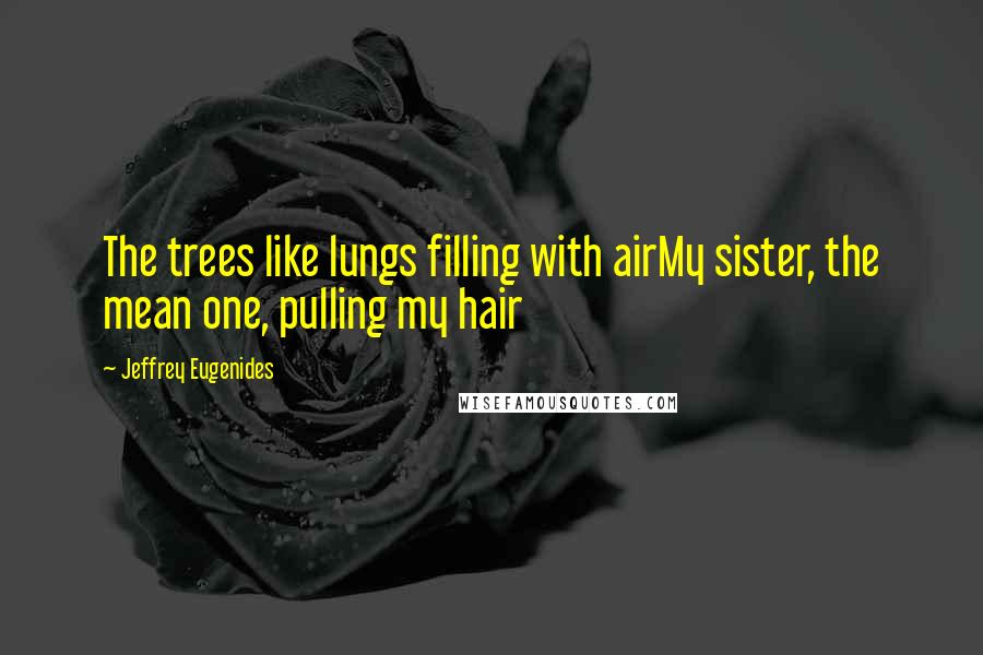 Jeffrey Eugenides Quotes: The trees like lungs filling with airMy sister, the mean one, pulling my hair
