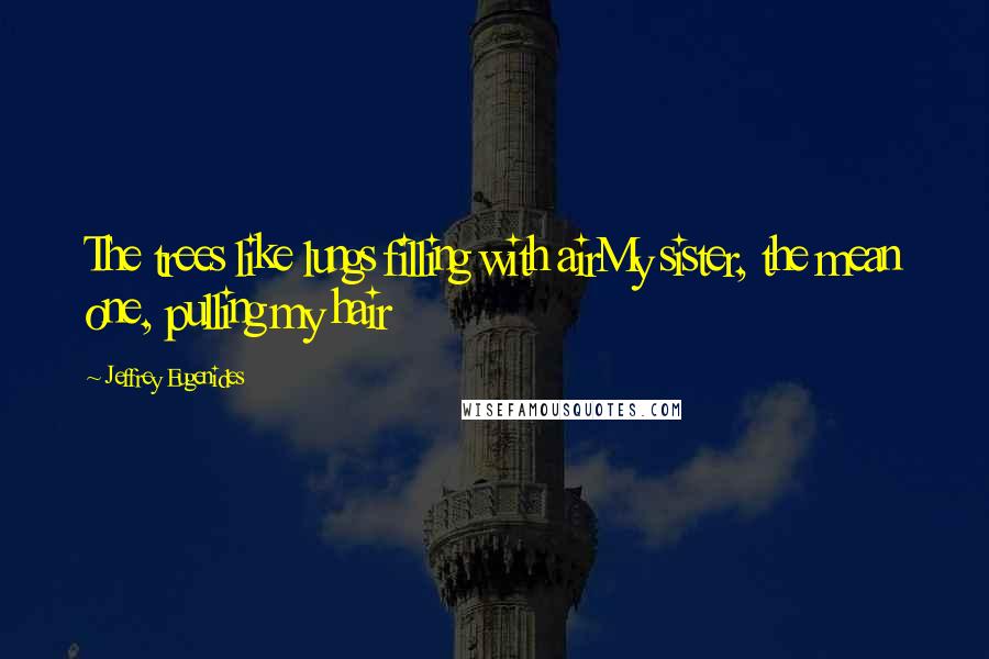Jeffrey Eugenides Quotes: The trees like lungs filling with airMy sister, the mean one, pulling my hair