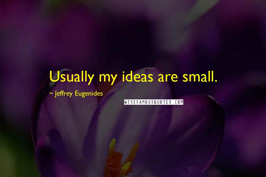 Jeffrey Eugenides Quotes: Usually my ideas are small.