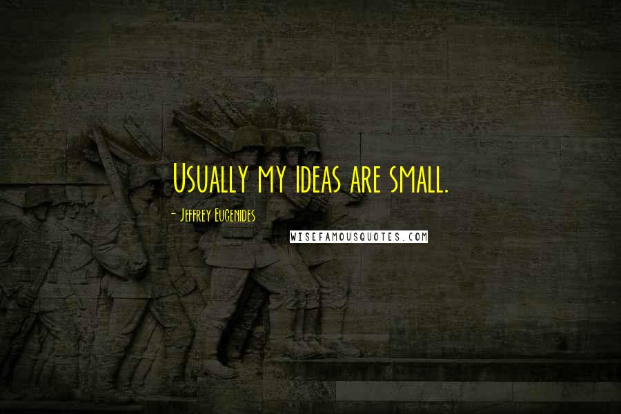 Jeffrey Eugenides Quotes: Usually my ideas are small.