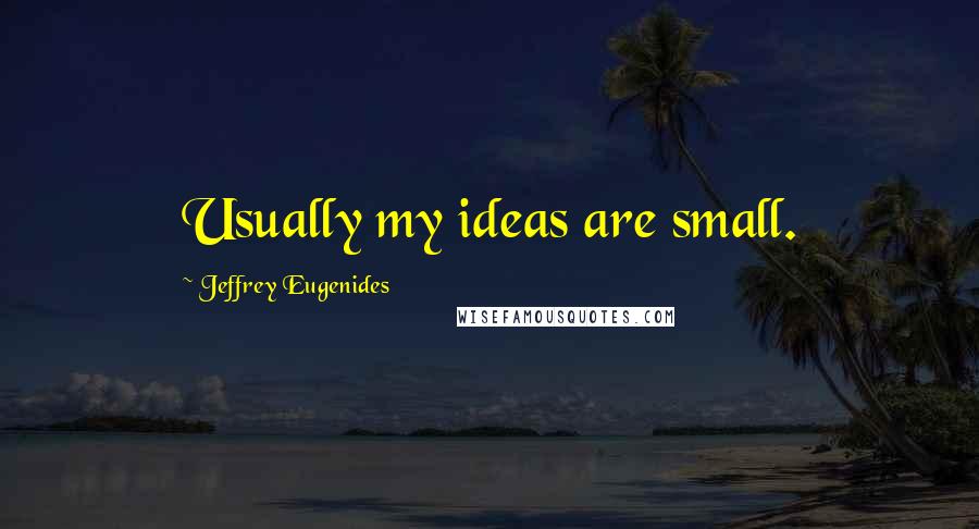 Jeffrey Eugenides Quotes: Usually my ideas are small.