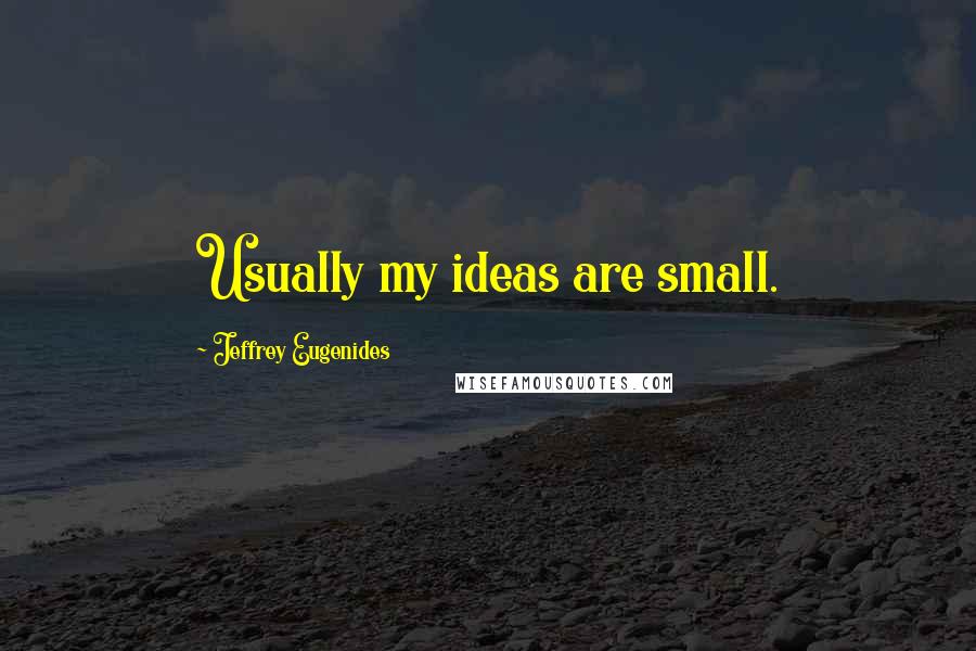 Jeffrey Eugenides Quotes: Usually my ideas are small.