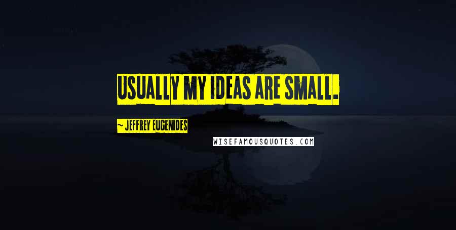 Jeffrey Eugenides Quotes: Usually my ideas are small.