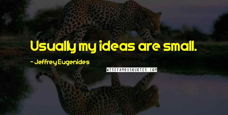 Jeffrey Eugenides Quotes: Usually my ideas are small.