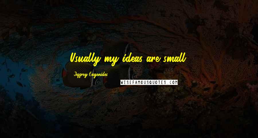 Jeffrey Eugenides Quotes: Usually my ideas are small.