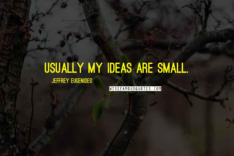 Jeffrey Eugenides Quotes: Usually my ideas are small.