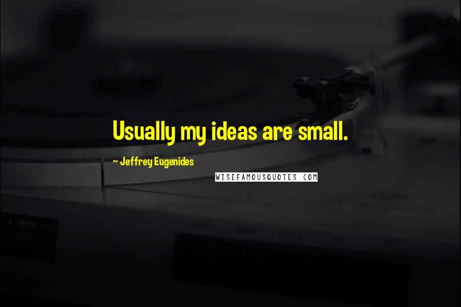 Jeffrey Eugenides Quotes: Usually my ideas are small.