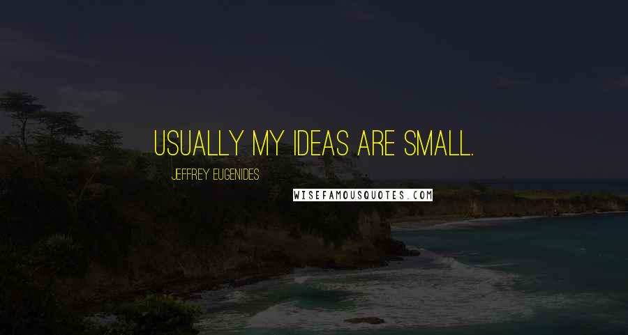 Jeffrey Eugenides Quotes: Usually my ideas are small.