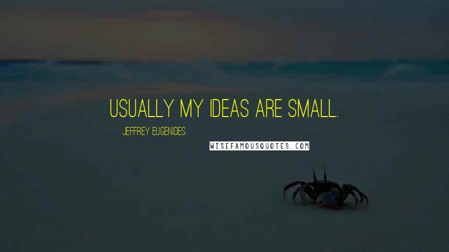 Jeffrey Eugenides Quotes: Usually my ideas are small.