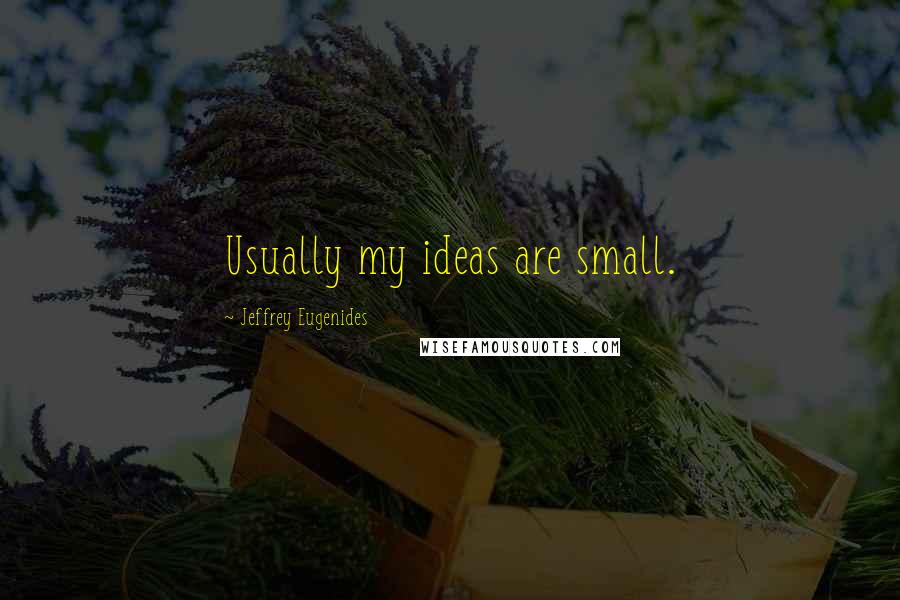 Jeffrey Eugenides Quotes: Usually my ideas are small.