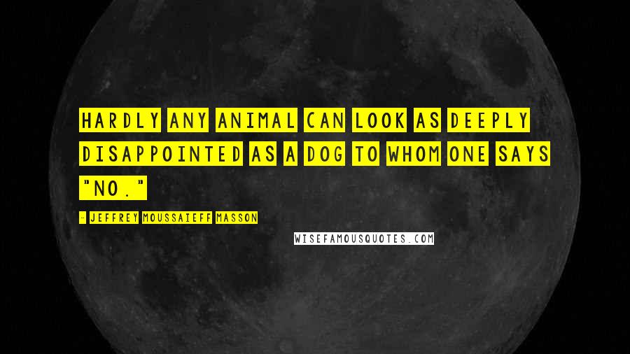 Jeffrey Moussaieff Masson Quotes: Hardly any animal can look as deeply disappointed as a dog to whom one says "no."