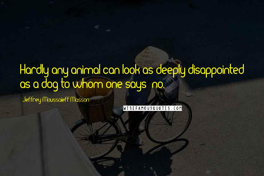 Jeffrey Moussaieff Masson Quotes: Hardly any animal can look as deeply disappointed as a dog to whom one says "no."