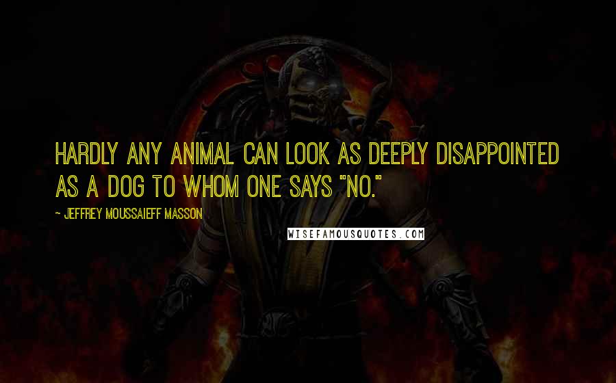Jeffrey Moussaieff Masson Quotes: Hardly any animal can look as deeply disappointed as a dog to whom one says "no."