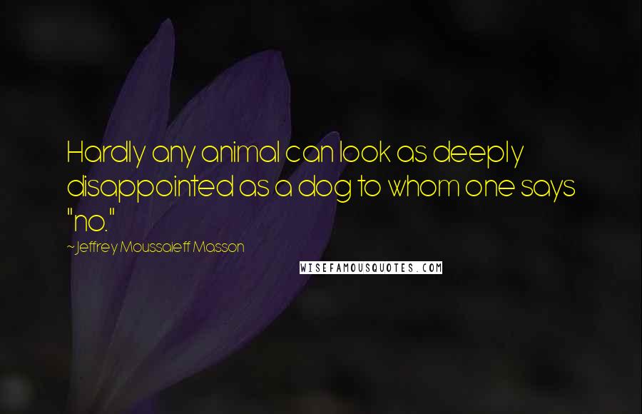 Jeffrey Moussaieff Masson Quotes: Hardly any animal can look as deeply disappointed as a dog to whom one says "no."