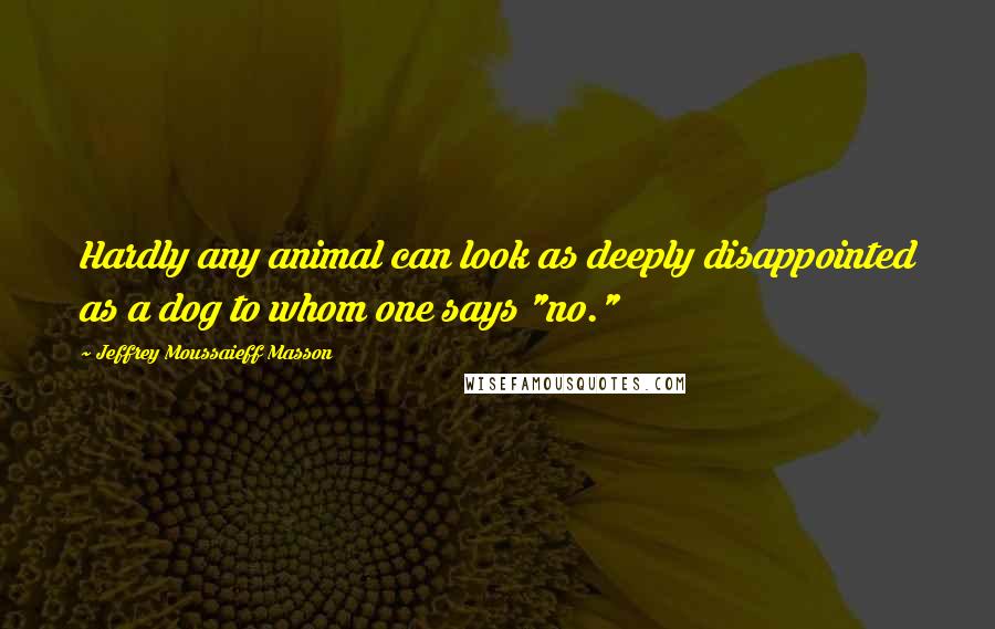 Jeffrey Moussaieff Masson Quotes: Hardly any animal can look as deeply disappointed as a dog to whom one says "no."