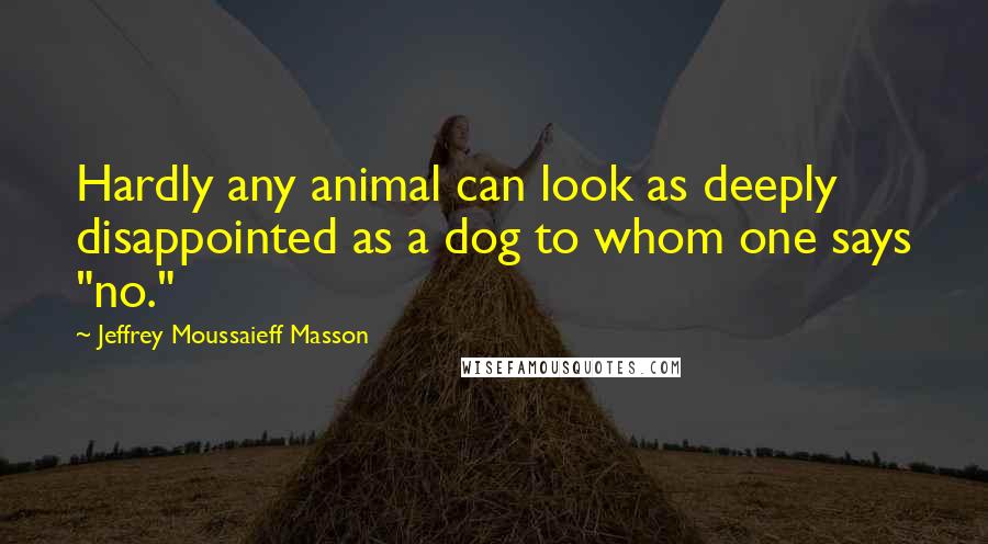 Jeffrey Moussaieff Masson Quotes: Hardly any animal can look as deeply disappointed as a dog to whom one says "no."