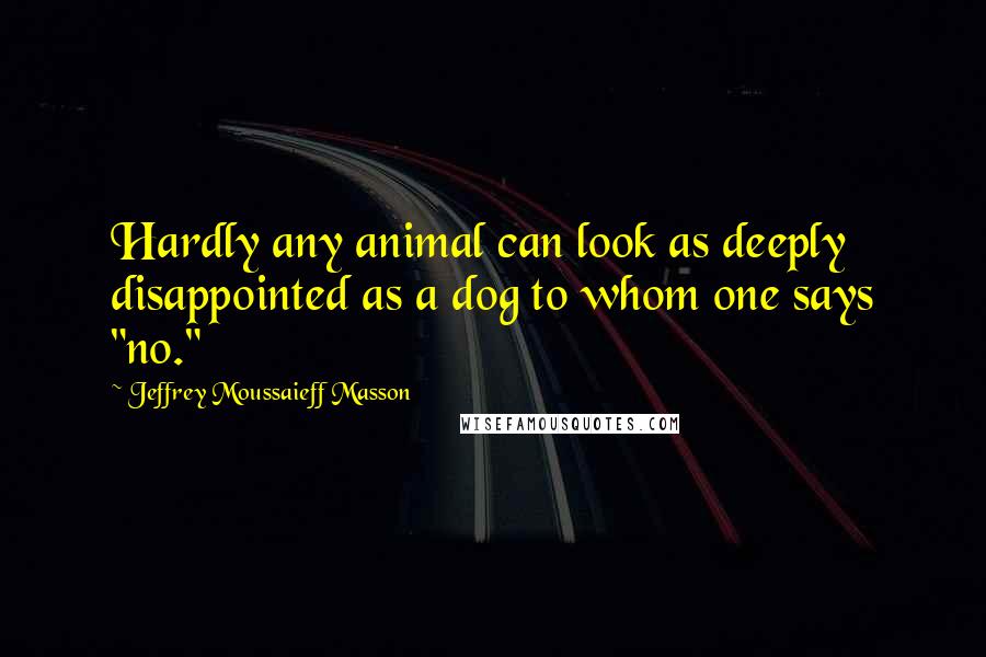 Jeffrey Moussaieff Masson Quotes: Hardly any animal can look as deeply disappointed as a dog to whom one says "no."