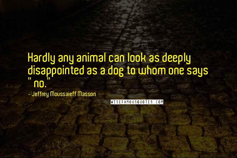 Jeffrey Moussaieff Masson Quotes: Hardly any animal can look as deeply disappointed as a dog to whom one says "no."