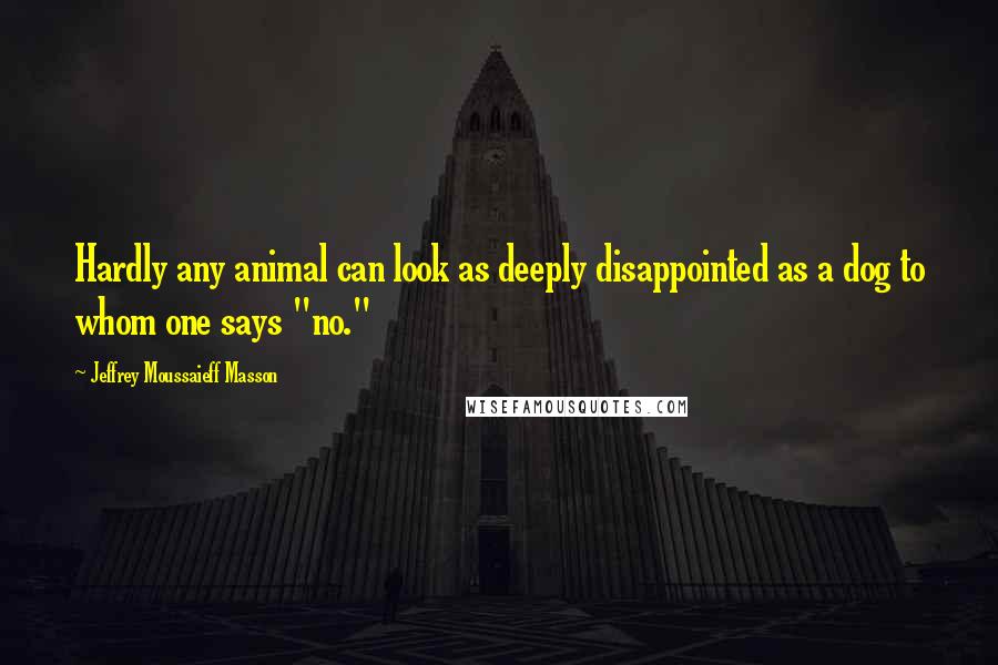 Jeffrey Moussaieff Masson Quotes: Hardly any animal can look as deeply disappointed as a dog to whom one says "no."