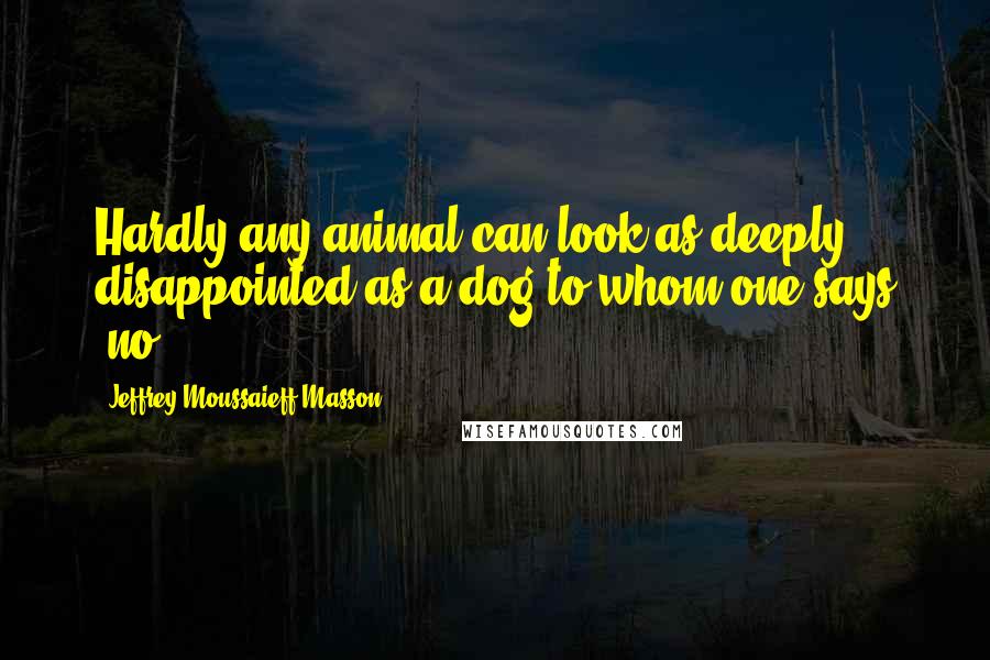 Jeffrey Moussaieff Masson Quotes: Hardly any animal can look as deeply disappointed as a dog to whom one says "no."