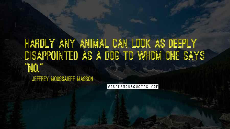 Jeffrey Moussaieff Masson Quotes: Hardly any animal can look as deeply disappointed as a dog to whom one says "no."