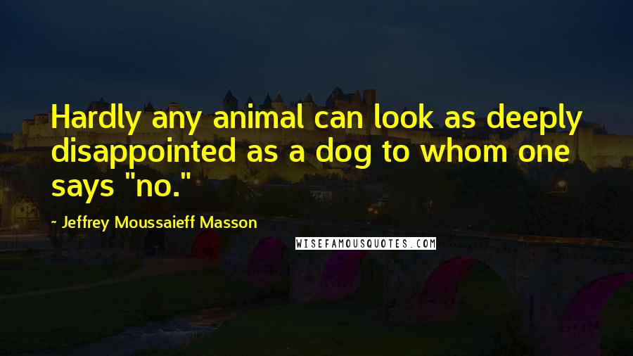 Jeffrey Moussaieff Masson Quotes: Hardly any animal can look as deeply disappointed as a dog to whom one says "no."