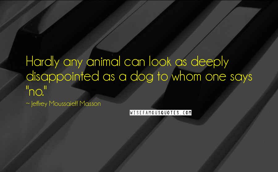 Jeffrey Moussaieff Masson Quotes: Hardly any animal can look as deeply disappointed as a dog to whom one says "no."