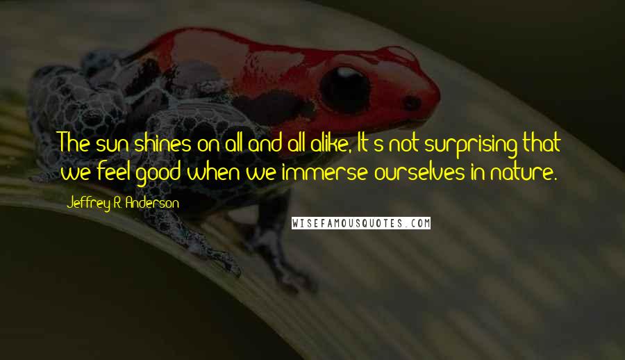 Jeffrey R. Anderson Quotes: The sun shines on all and all alike, It's not surprising that we feel good when we immerse ourselves in nature.