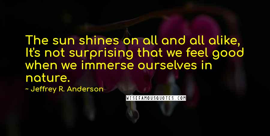 Jeffrey R. Anderson Quotes: The sun shines on all and all alike, It's not surprising that we feel good when we immerse ourselves in nature.