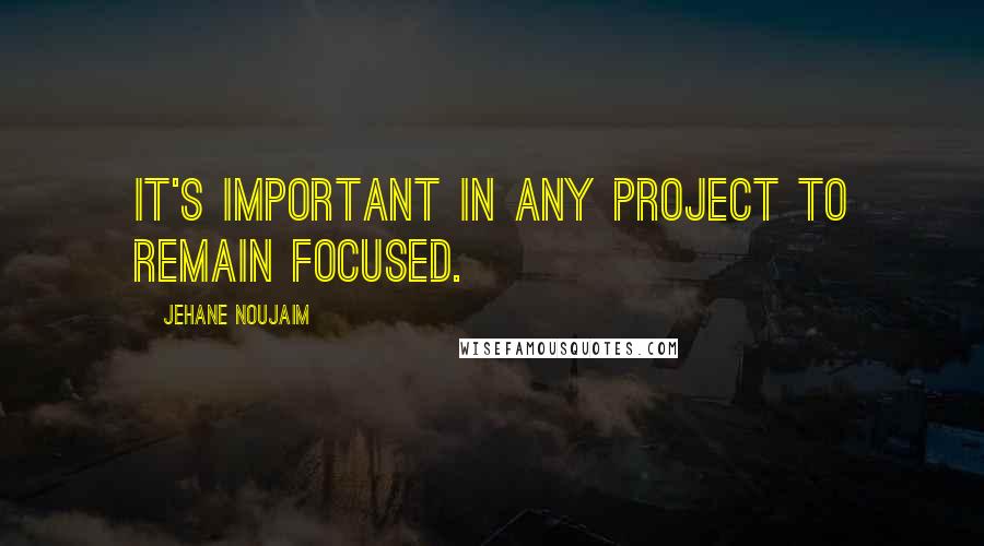 Jehane Noujaim Quotes: It's important in any project to remain focused.
